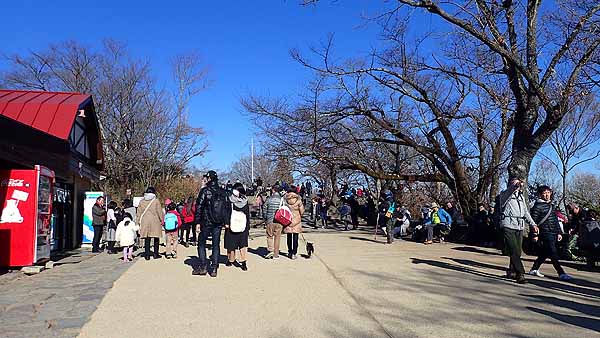 f:id:i-shizukichi:20190101165253j:plain