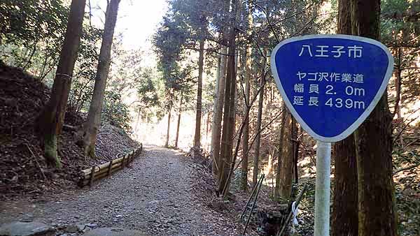 f:id:i-shizukichi:20190114181837j:plain f:id:i-shizukichi:20190114181837j:plain
