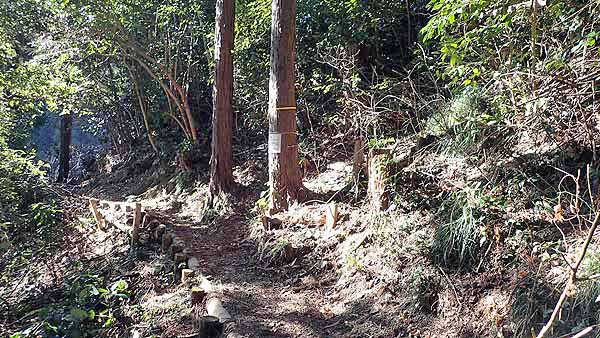 f:id:i-shizukichi:20190118172434j:plain f:id:i-shizukichi:20190118172434j:plain