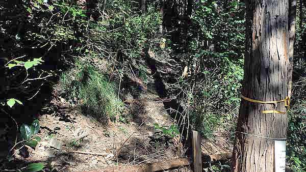 f:id:i-shizukichi:20190118172551j:plain f:id:i-shizukichi:20190118172551j:plain