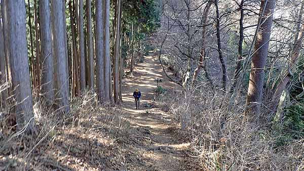 f:id:i-shizukichi:20190120195314j:plain