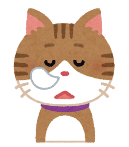 猫の絵