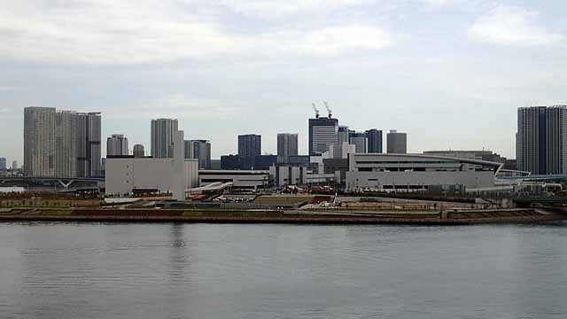 豊洲市場見学1