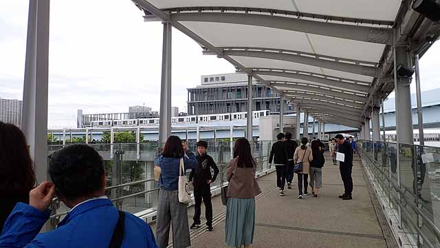 豊洲市場へ
