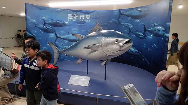 クロマグロの模型