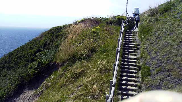 神威岬への道