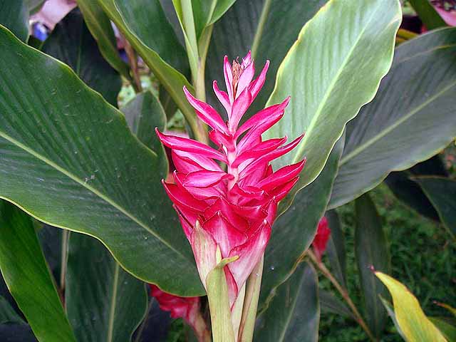 f:id:i-shizukichi:20190530133759j:plain