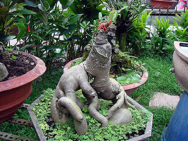 f:id:i-shizukichi:20190530134031j:plain