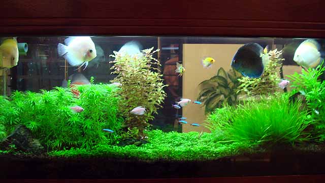 f:id:i-shizukichi:20190530134859j:plain