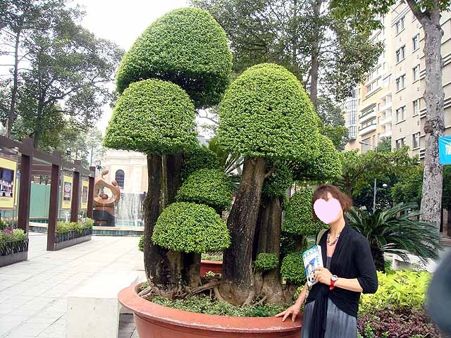 f:id:i-shizukichi:20190601150954j:plain