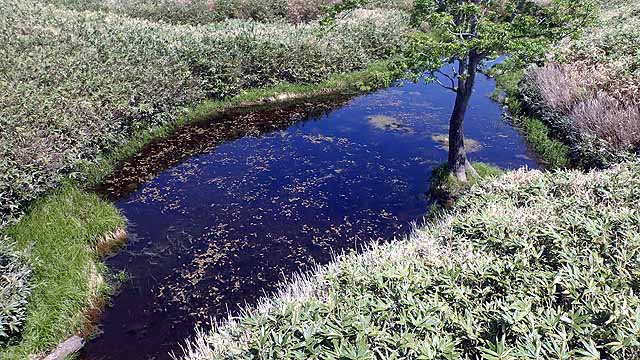 f:id:i-shizukichi:20190608084007j:plain