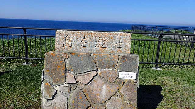 f:id:i-shizukichi:20190610093040j:plain