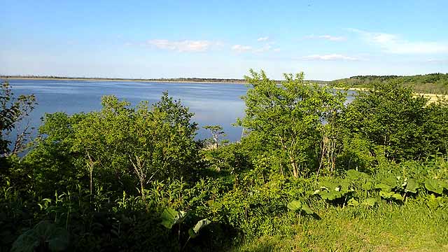 f:id:i-shizukichi:20190611084347j:plain f:id:i-shizukichi:20190611084347j:plain