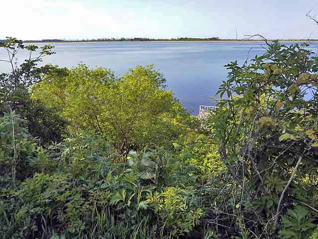 f:id:i-shizukichi:20190611084437j:plain f:id:i-shizukichi:20190611084437j:plain