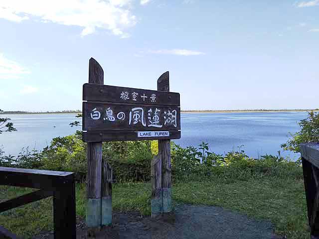 f:id:i-shizukichi:20190611084928j:plain f:id:i-shizukichi:20190611084928j:plain