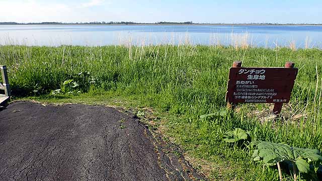 f:id:i-shizukichi:20190611085246j:plain f:id:i-shizukichi:20190611085246j:plain