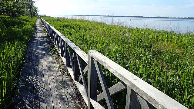 f:id:i-shizukichi:20190611085352j:plain f:id:i-shizukichi:20190611085352j:plain