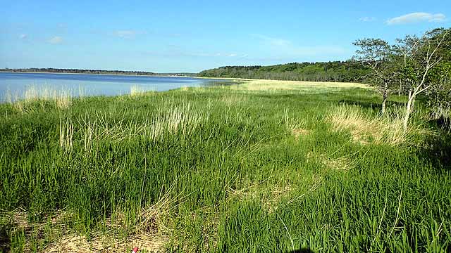 f:id:i-shizukichi:20190611090427j:plain f:id:i-shizukichi:20190611090427j:plain