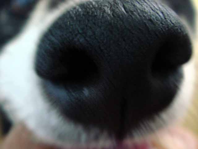 f:id:i-shizukichi:20190909130503j:plain