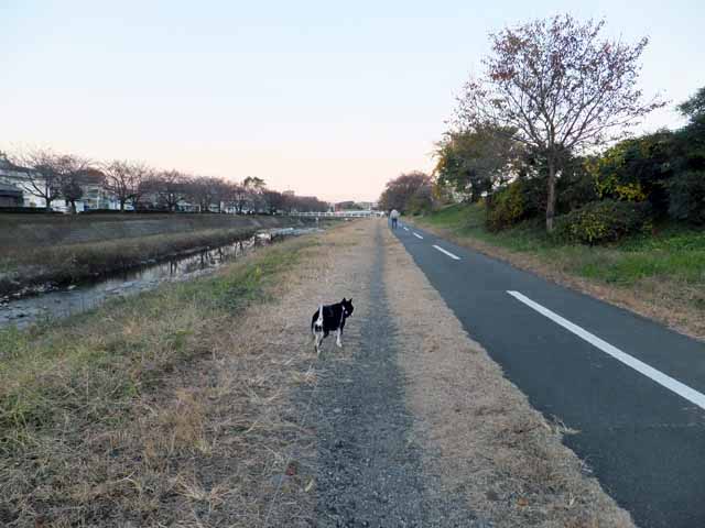 f:id:i-shizukichi:20190909130731j:plain