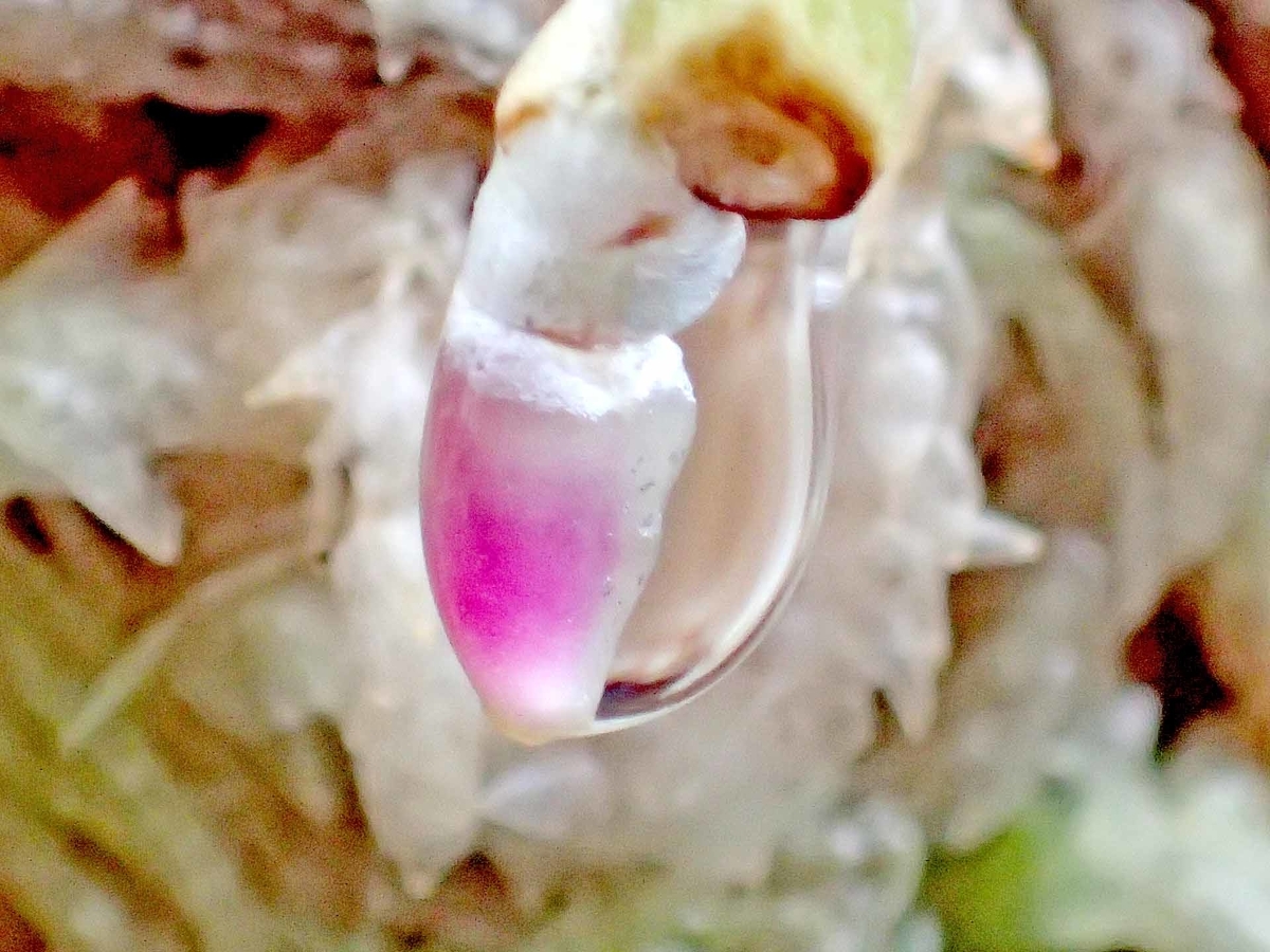 f:id:i-shizukichi:20190916113314j:plain f:id:i-shizukichi:20190916113314j:plain