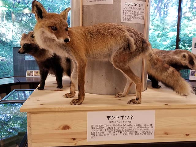 f:id:i-shizukichi:20191009181813j:plain
