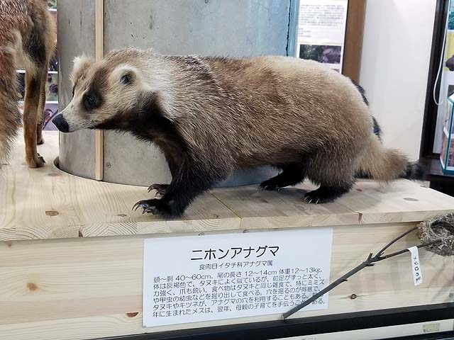 f:id:i-shizukichi:20191009181823j:plain