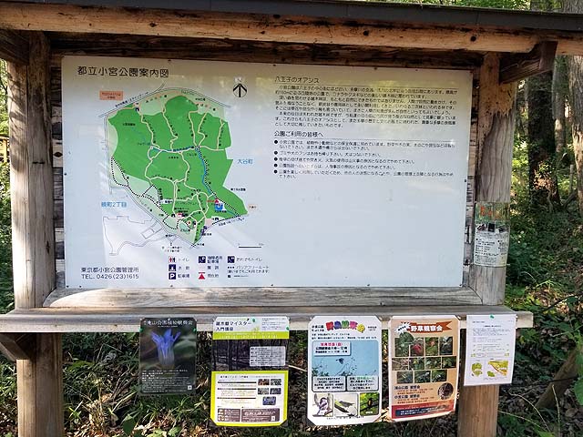 f:id:i-shizukichi:20191009181928j:plain