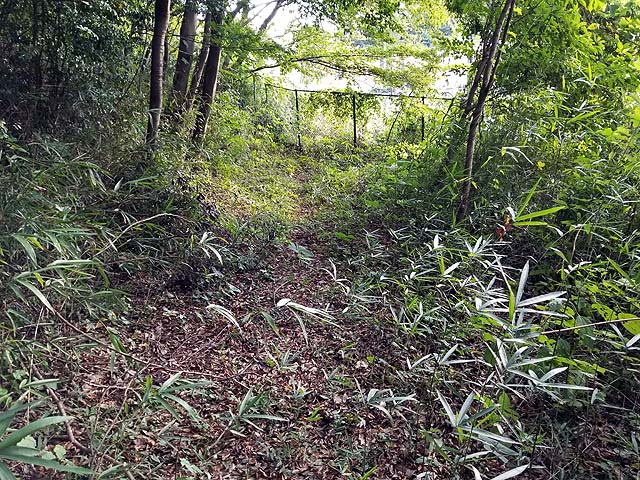 f:id:i-shizukichi:20191009182225j:plain