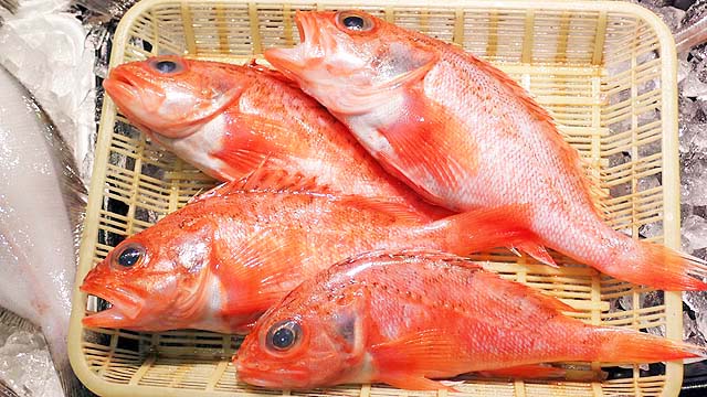 f:id:i-shizukichi:20191114140241j:plain f:id:i-shizukichi:20191114140241j:plain