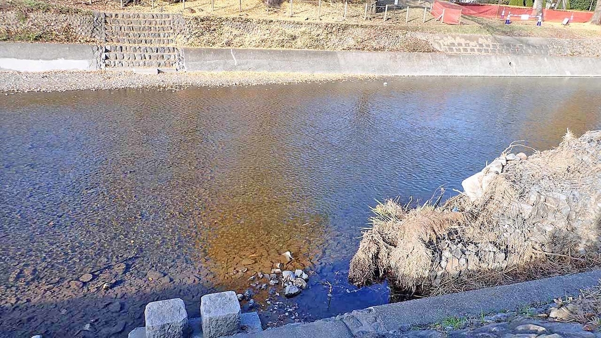 f:id:i-shizukichi:20191206115322j:plain