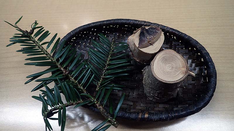 f:id:i-shizukichi:20200121143809j:plain f:id:i-shizukichi:20200121143809j:plain