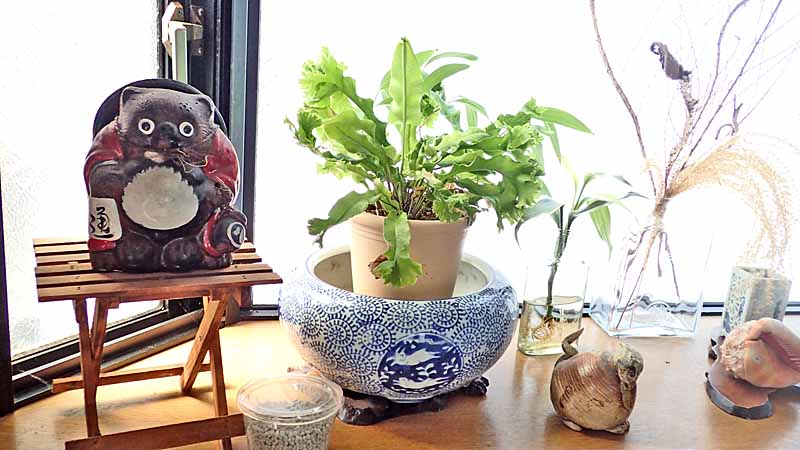 f:id:i-shizukichi:20200702135813j:plain f:id:i-shizukichi:20200702135813j:plain