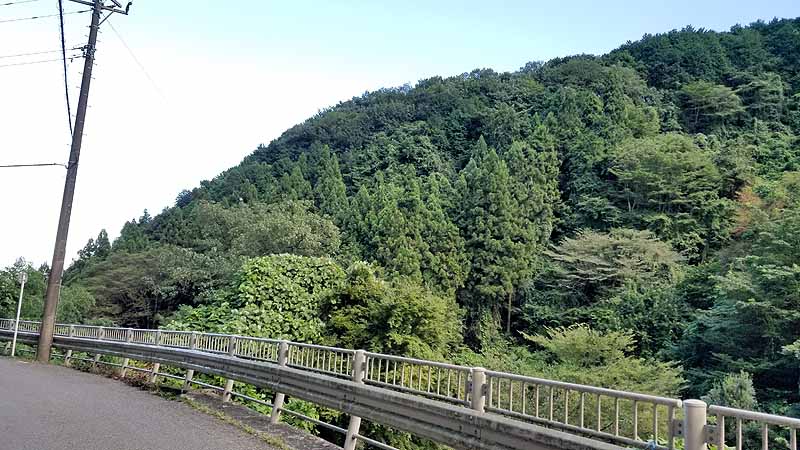 f:id:i-shizukichi:20200905120028j:plain f:id:i-shizukichi:20200905120028j:plain