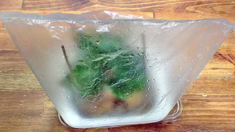 f:id:i-shizukichi:20200926114637j:plain