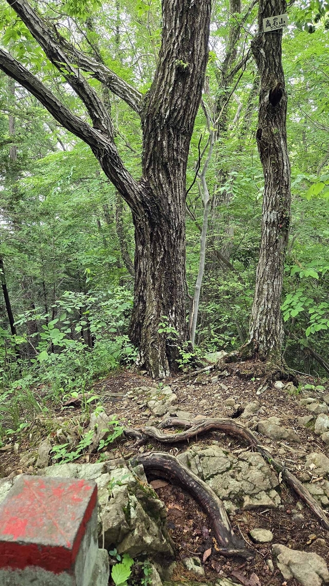 高岩山の画像