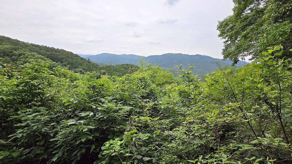 入沢山から高尾山方向を見る画像