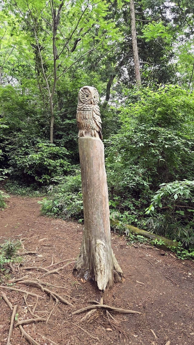 フクロウの彫り物の画像