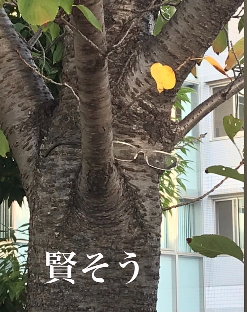 f:id:i-sitter:20210422143414j:image