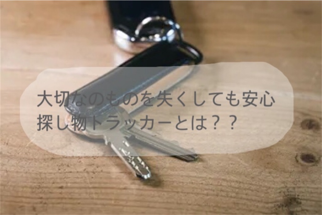 f:id:i-sitter:20210428205916j:image