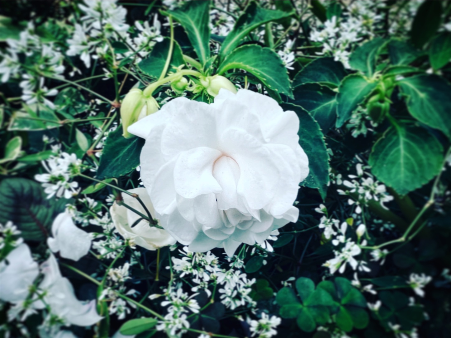 f:id:i-tokyo55s:20211024070850j:image f:id:i-tokyo55s:20211024070850j:image