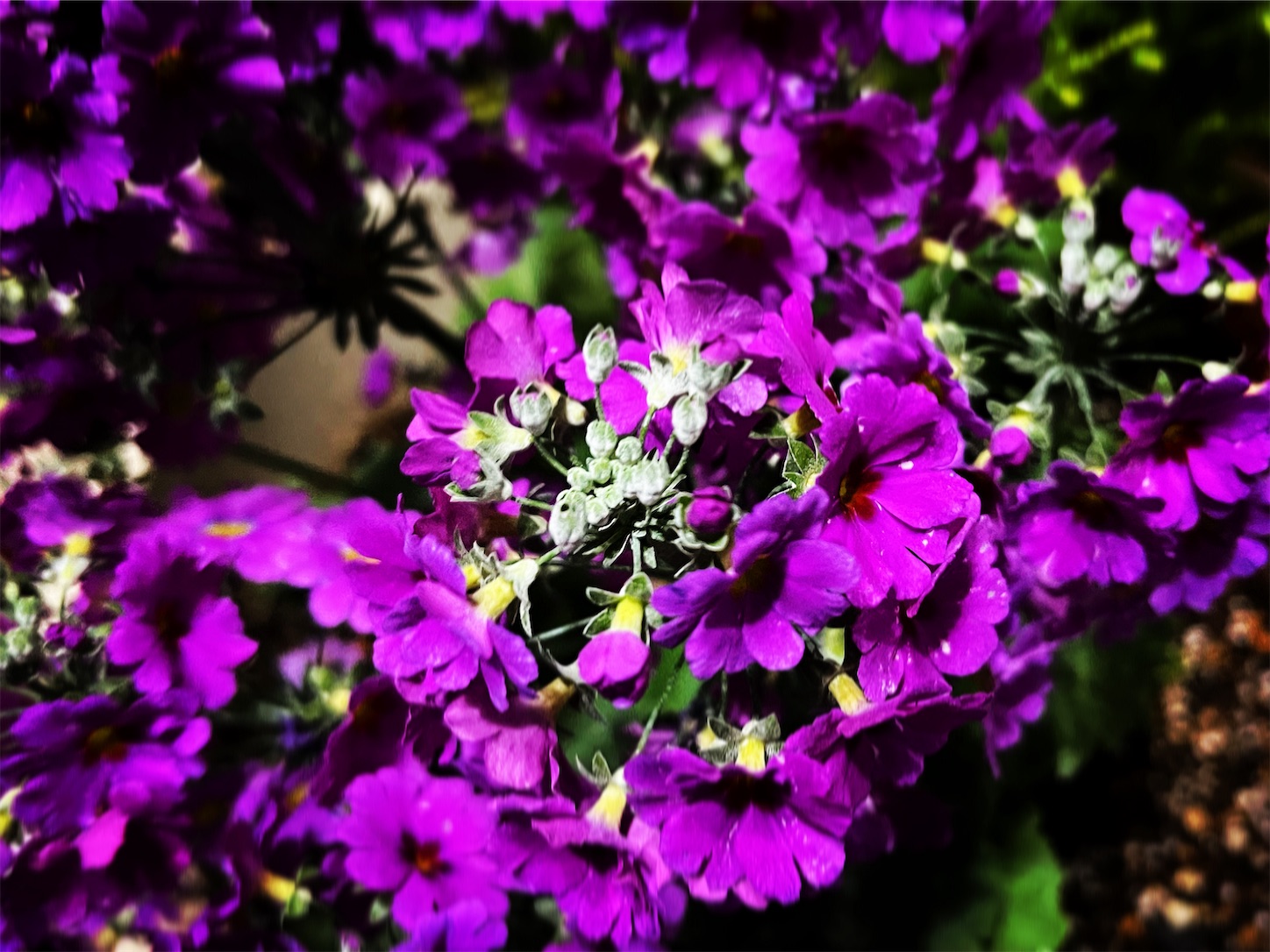 f:id:i-tokyo55s:20220218085918j:image f:id:i-tokyo55s:20220218085918j:image