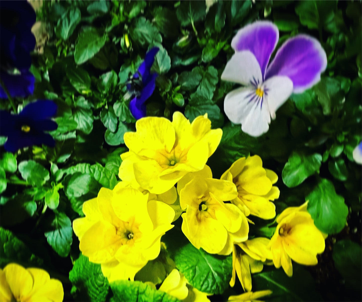 f:id:i-tokyo55s:20220218085921j:image f:id:i-tokyo55s:20220218085921j:image