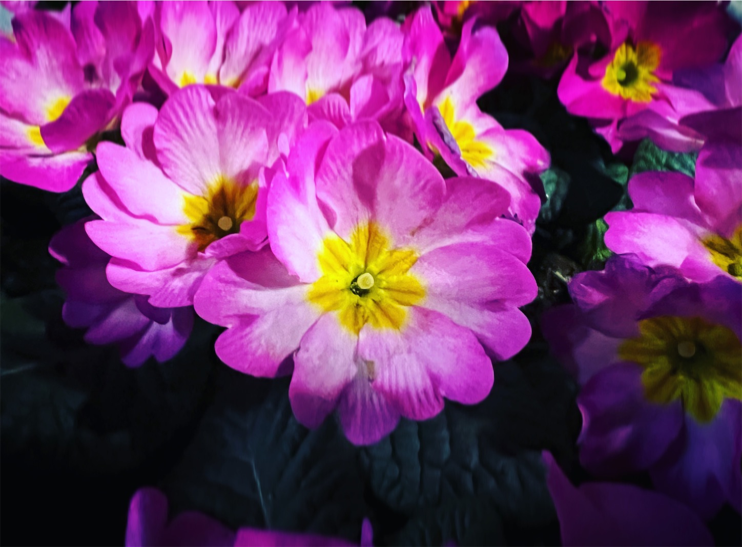 f:id:i-tokyo55s:20220218085927j:image f:id:i-tokyo55s:20220218085927j:image