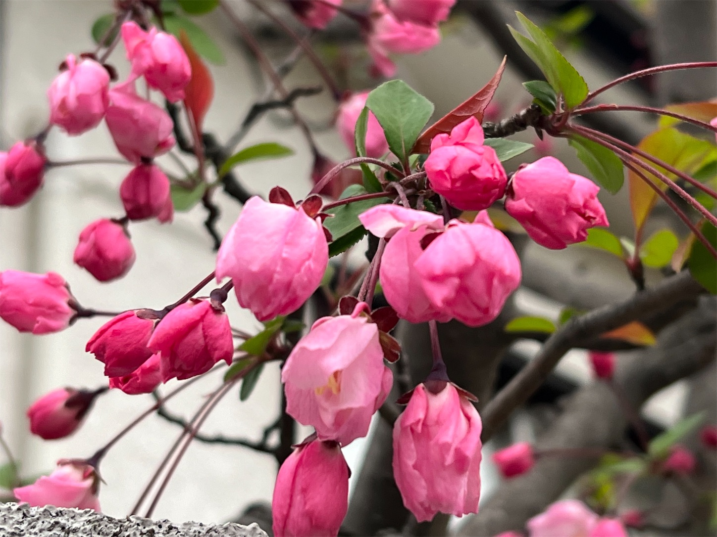 f:id:i-tokyo55s:20220327065633j:image f:id:i-tokyo55s:20220327065633j:image