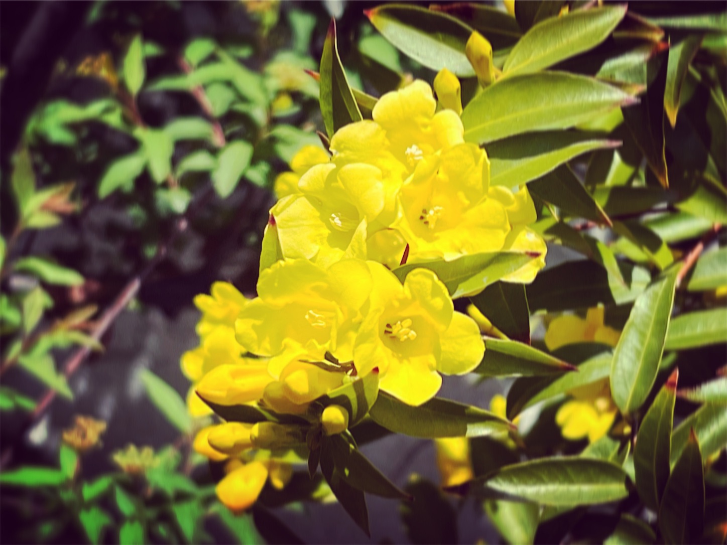 f:id:i-tokyo55s:20220409120408j:image f:id:i-tokyo55s:20220409120408j:image