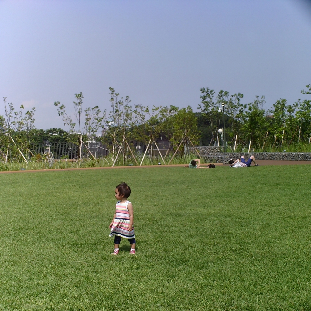 f:id:i03182km:20160713214143j:plain f:id:i03182km:20160713214143j:plain