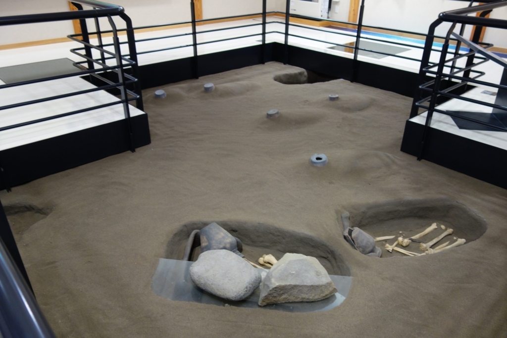 墓域の実物展示 墓域の実物展示