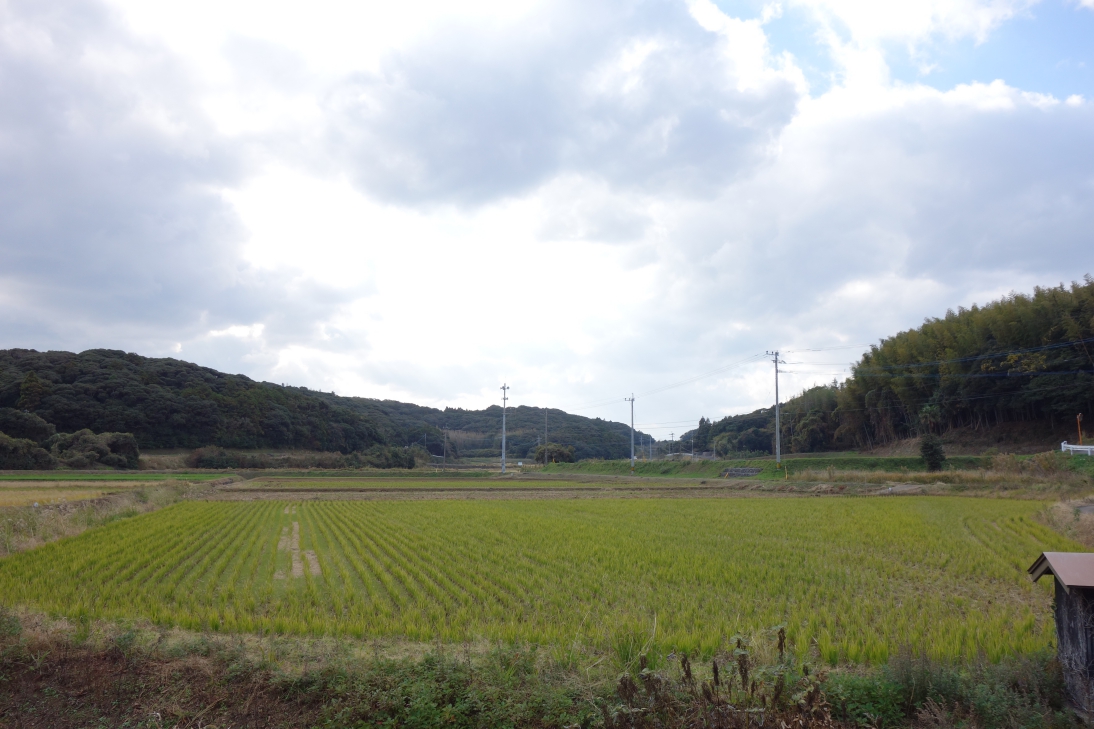 壱岐島の美しい風景5 壱岐島の美しい風景5
