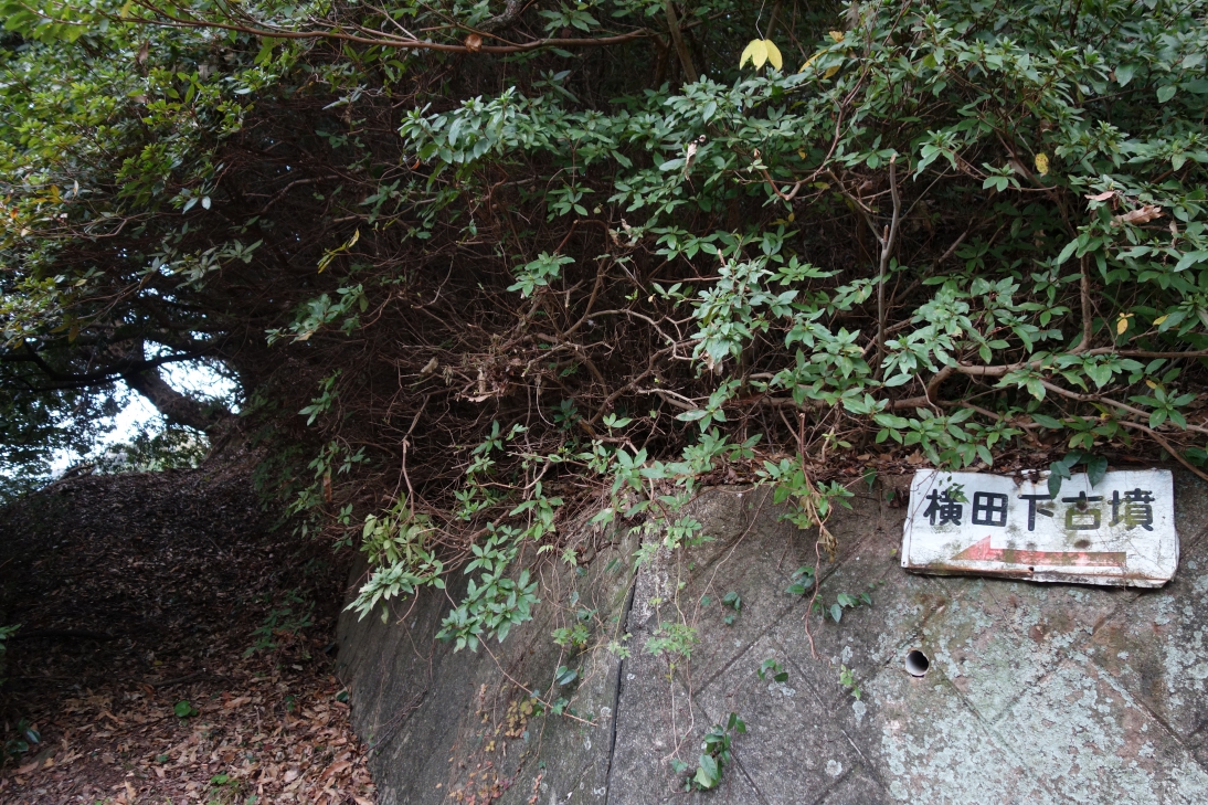 横田下古墳1 横田下古墳1